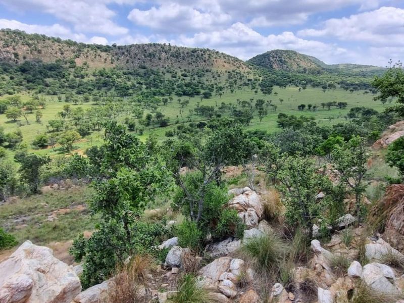 Farm For Sale in PARYS - Photo 3