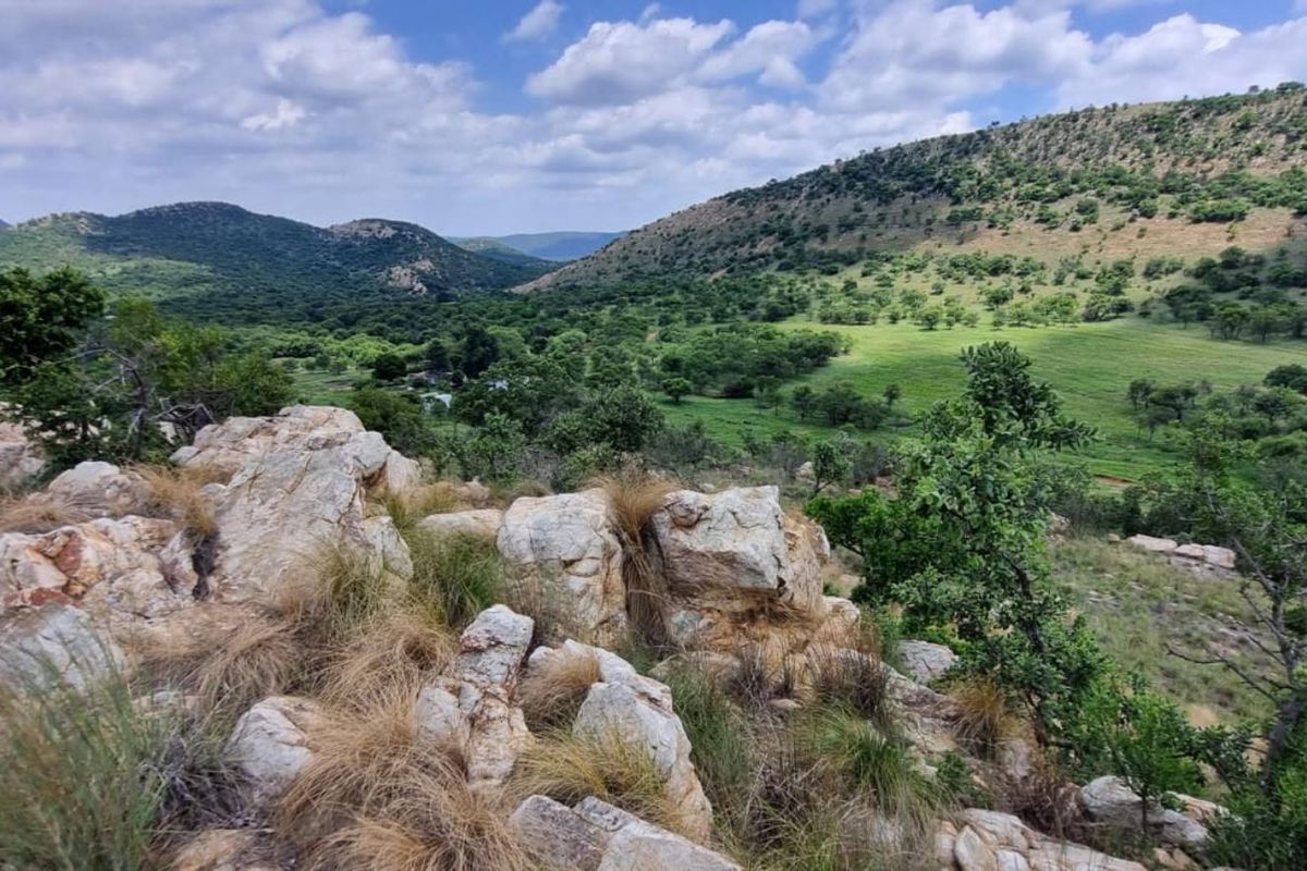 Farm For Sale in PARYS - Photo 4