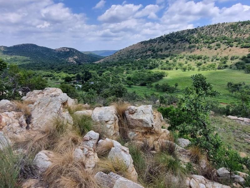 Farm For Sale in PARYS - Photo 4
