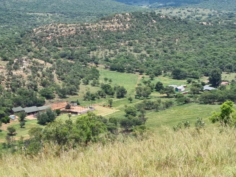 Farm For Sale in PARYS - Photo 5