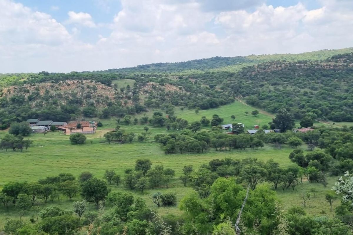 Farm For Sale in PARYS - Photo 2
