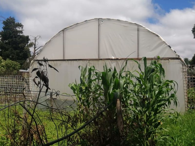 Farm for sale in Varkfontein AH, Bronkhorstspruit - Photo 9