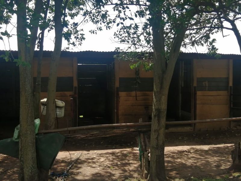 Farm for sale in Varkfontein AH, Bronkhorstspruit - Photo 10