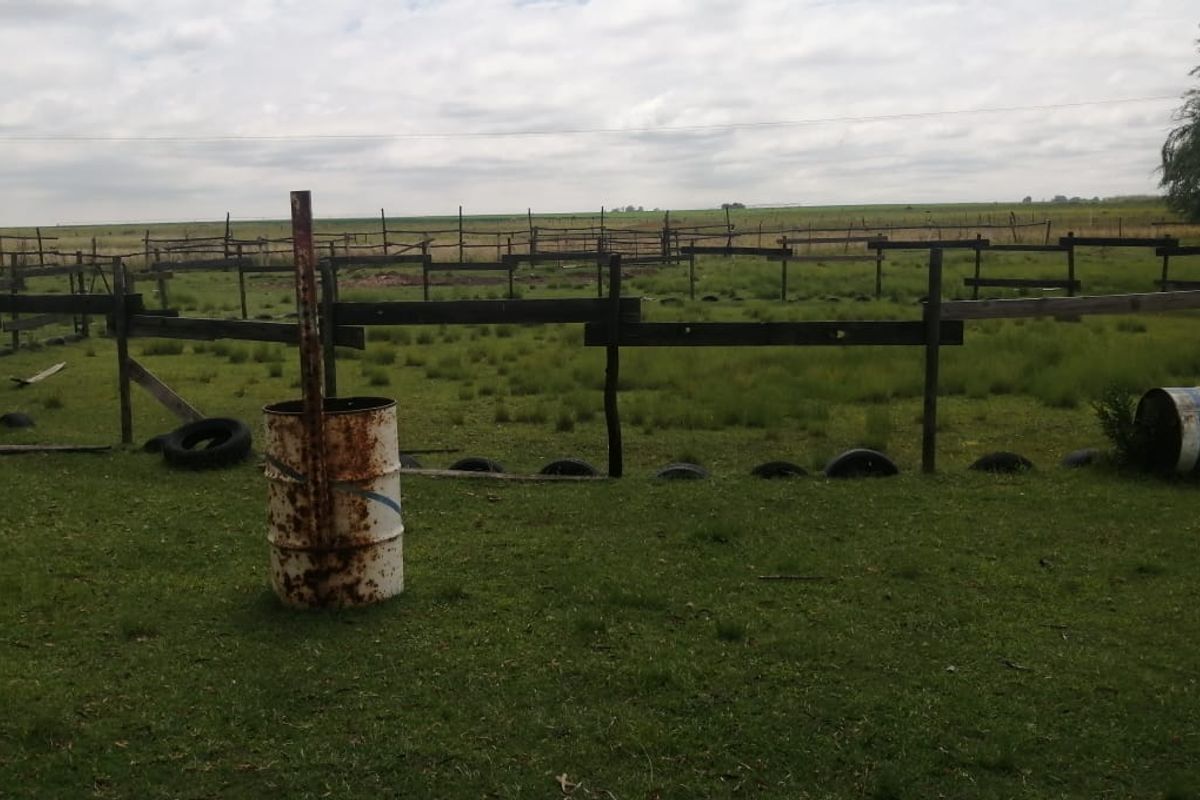 Farm for sale in Varkfontein AH, Bronkhorstspruit - Photo 4