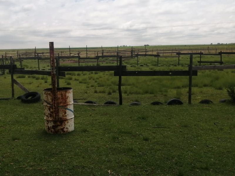 Farm for sale in Varkfontein AH, Bronkhorstspruit - Photo 4