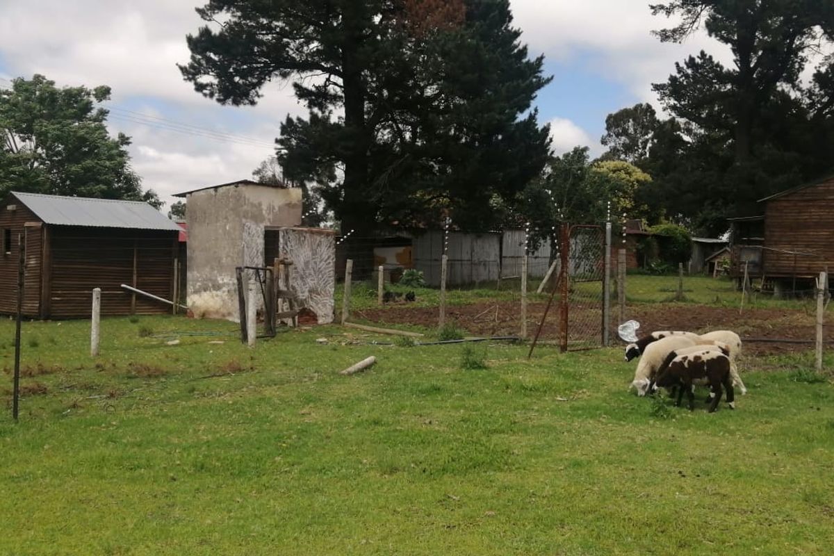 Farm for sale in Varkfontein AH, Bronkhorstspruit - Photo 5