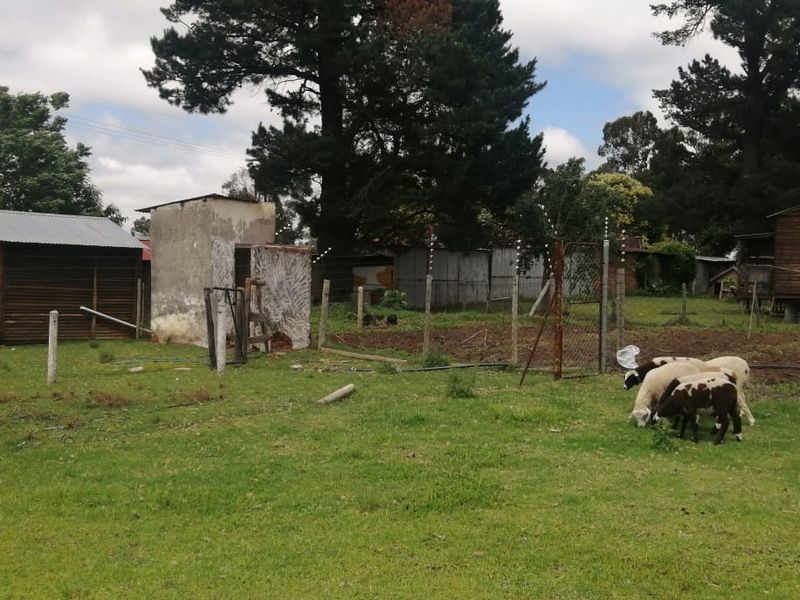 Farm for sale in Varkfontein AH, Bronkhorstspruit - Photo 5