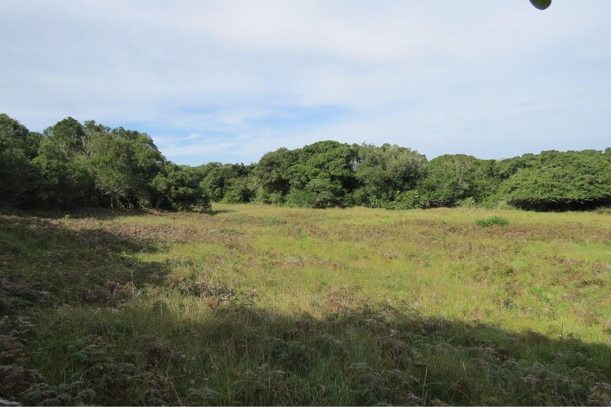 Farm For Sale in Colleen Glen, Port Elizabeth - Photo 3