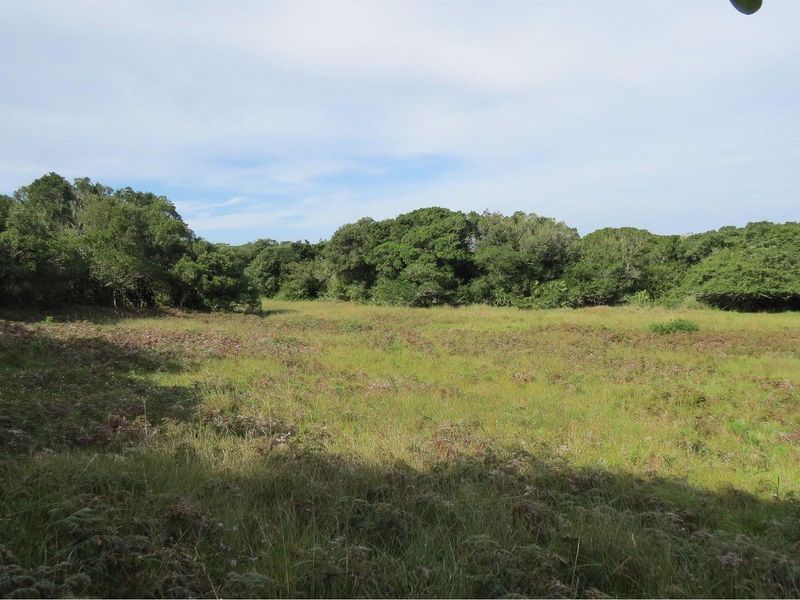 Farm For Sale in Colleen Glen, Port Elizabeth - Photo 3