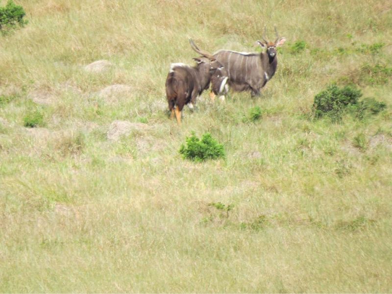 Farm For Sale in Colleen Glen, Port Elizabeth - Photo 10