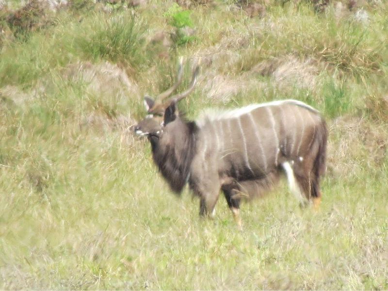 Farm For Sale in Colleen Glen, Port Elizabeth - Photo 9