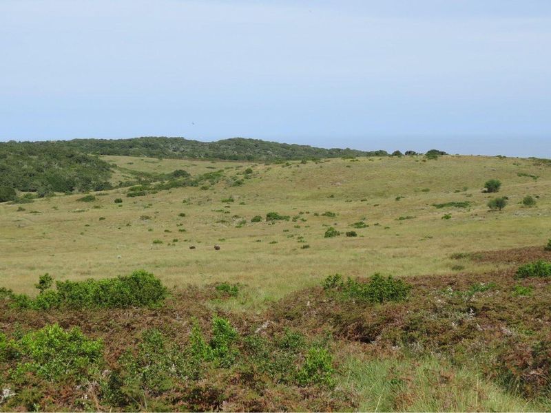 Farm For Sale in Colleen Glen, Port Elizabeth - Photo 8