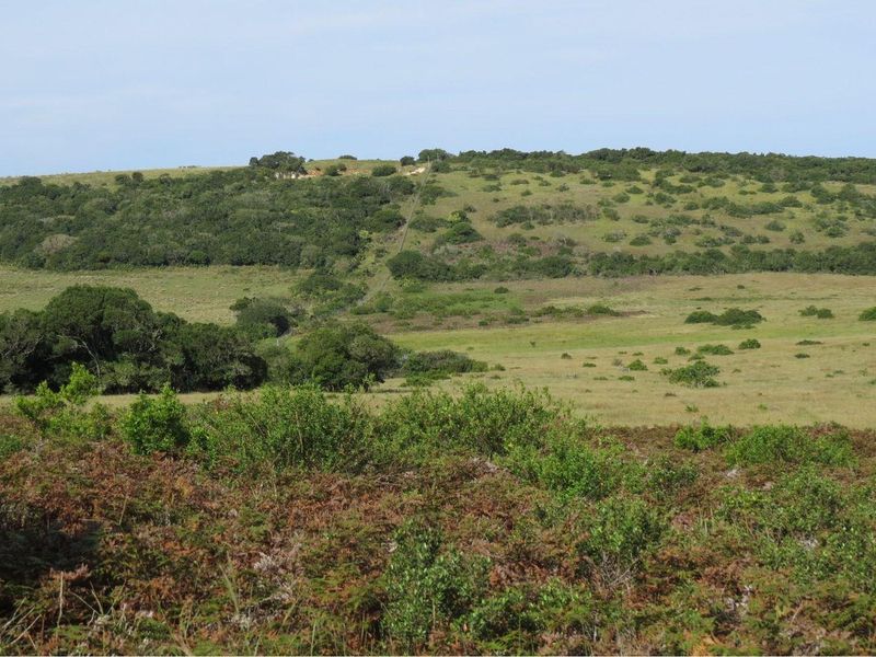 Farm For Sale in Colleen Glen, Port Elizabeth - Photo 7