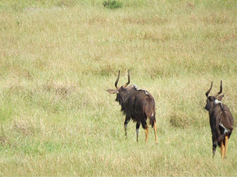 Farm For Sale in Colleen Glen, Port Elizabeth - Photo 6