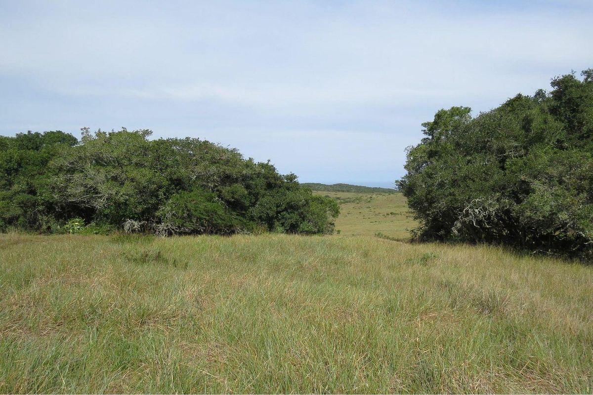 Farm For Sale in Colleen Glen, Port Elizabeth - Photo 5