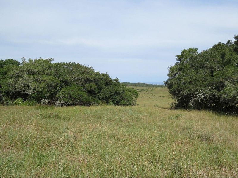 Farm For Sale in Colleen Glen, Port Elizabeth - Photo 5