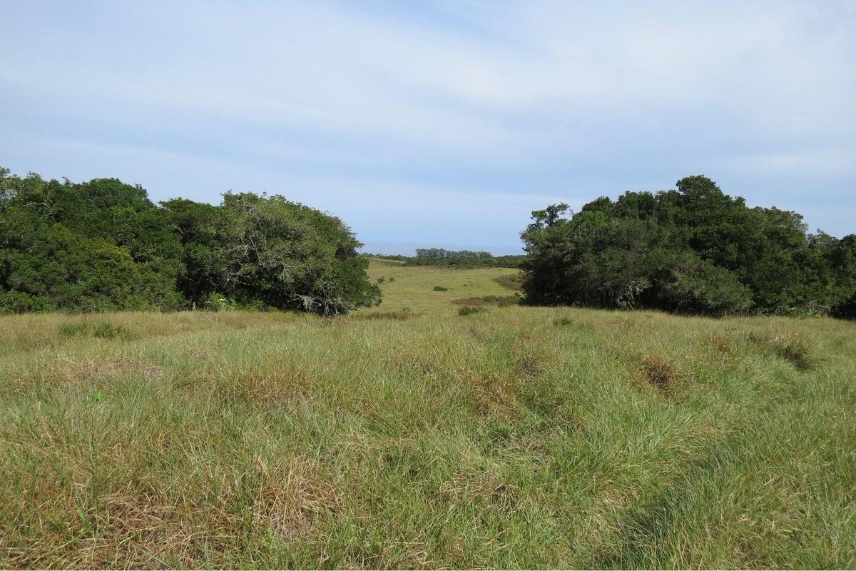 Farm For Sale in Colleen Glen, Port Elizabeth - Photo 4