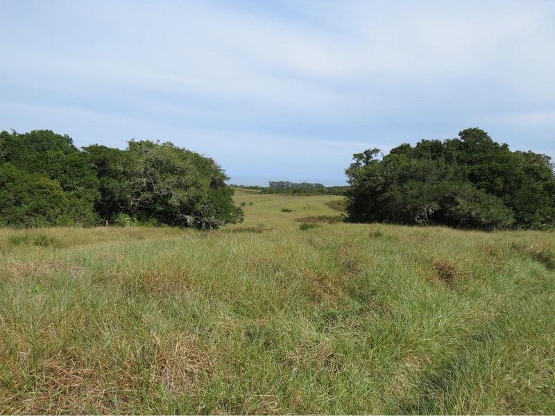 Farm For Sale in Colleen Glen, Port Elizabeth - Photo 4