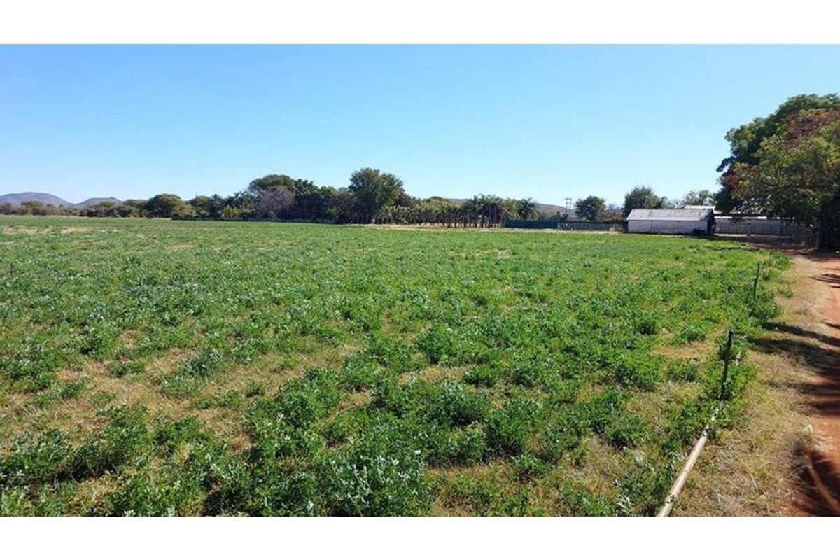 17 ha Small holding with abundant water for sale in Bela Bela Rural, Bela Bela - Photo 4