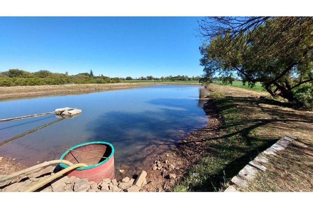 17 ha Small holding with abundant water for sale in Bela Bela Rural, Bela Bela - Photo 2