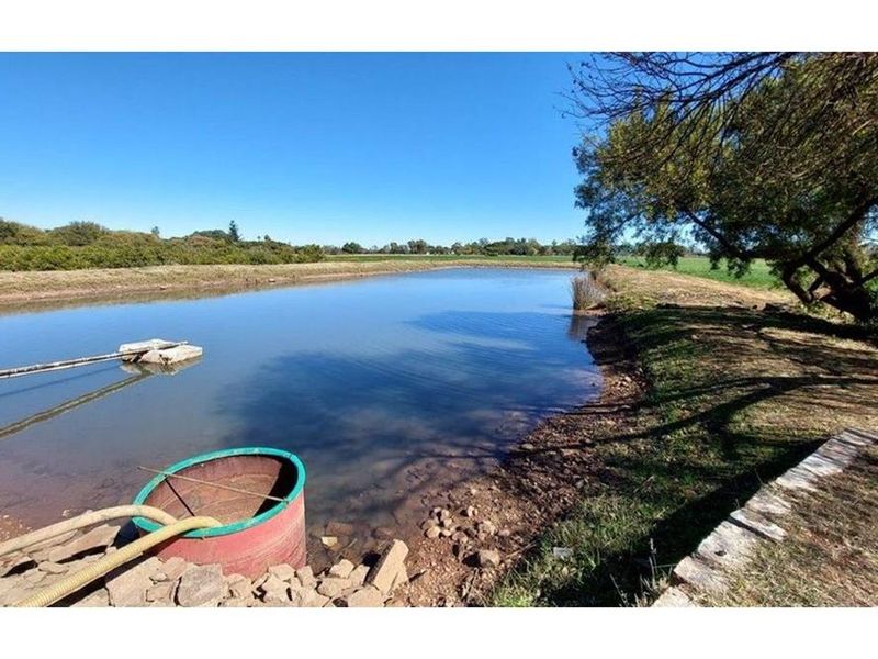 17 ha Small holding with abundant water for sale in Bela Bela Rural, Bela Bela - Photo 2