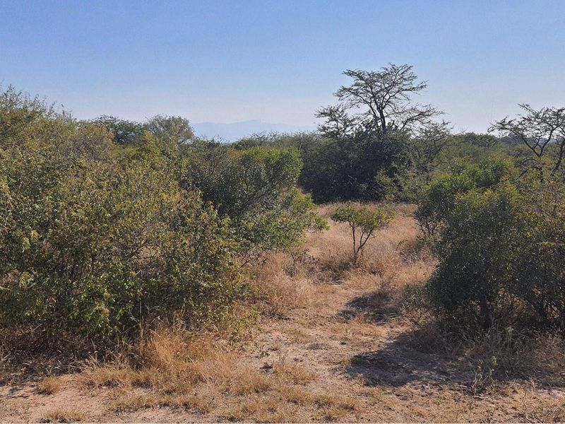 Vacant Land For Sale in Moditlo Nature Reserve, Hoedspruit - Photo 10