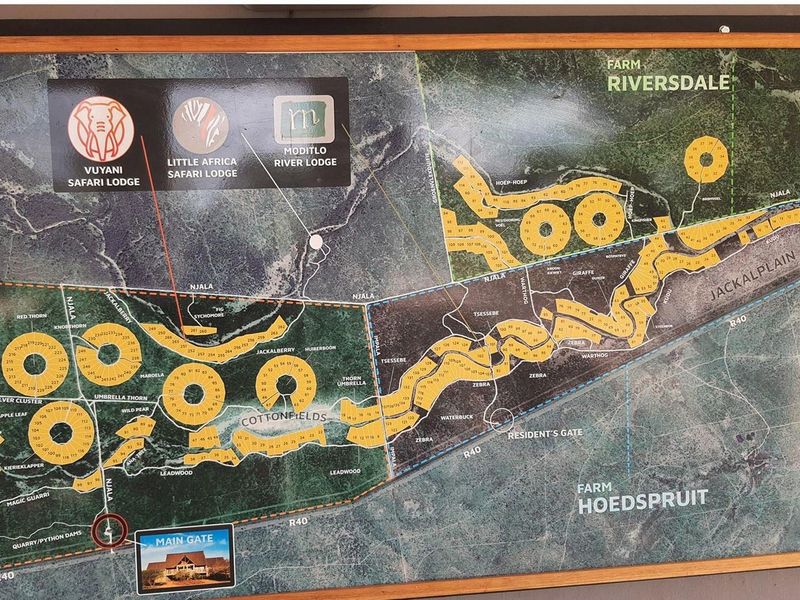 Vacant Land For Sale in Moditlo Nature Reserve, Hoedspruit - Photo 7