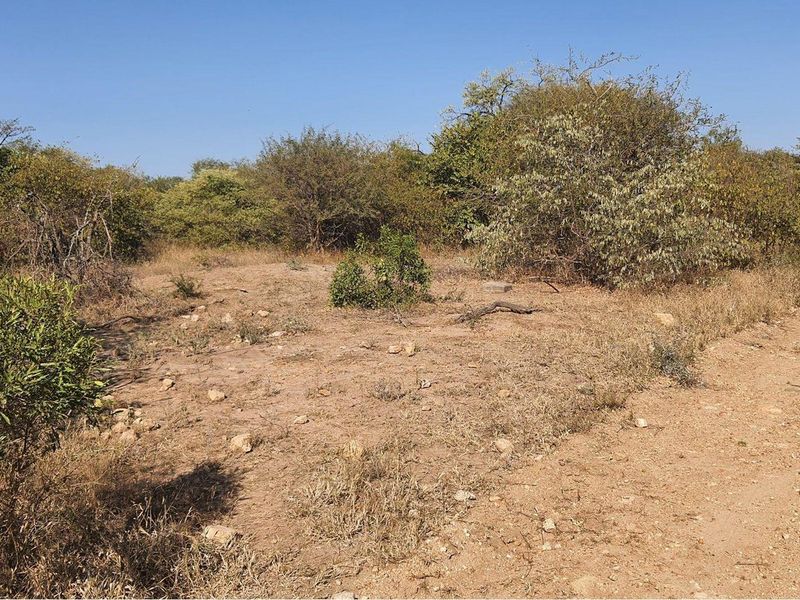 Vacant Land For Sale in Moditlo Nature Reserve, Hoedspruit - Photo 8