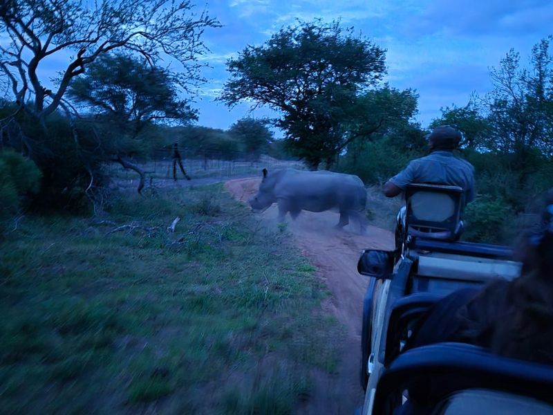 Vacant Land For Sale in Moditlo Nature Reserve, Hoedspruit - Photo 2