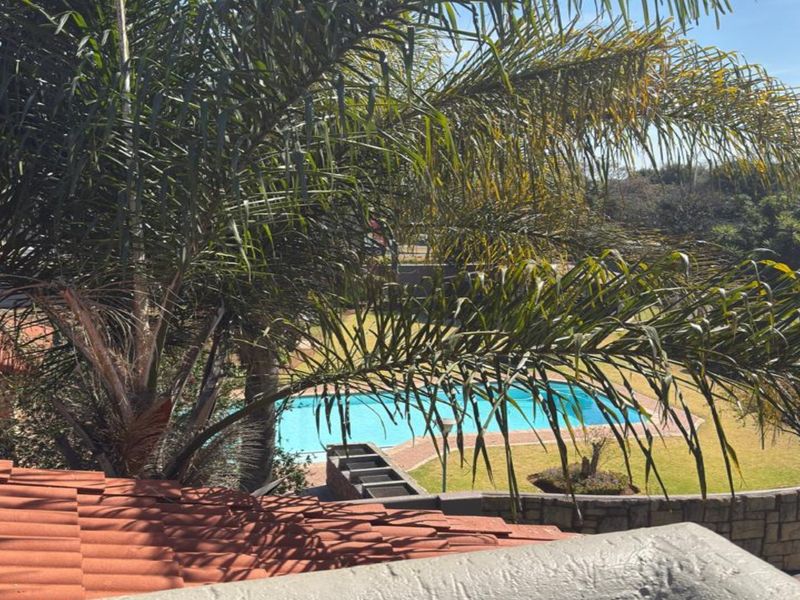 Elevated view overlooking a private swimming pool, landscaped garden area, and stone retaining wall, framed by mature palm trees.