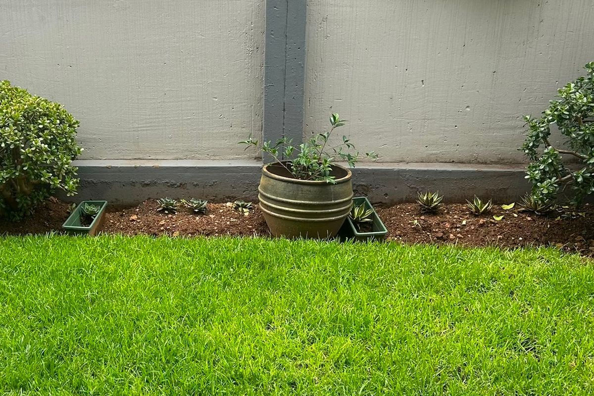 A small garden area featuring a well-maintained lawn and a concrete boundary wall.