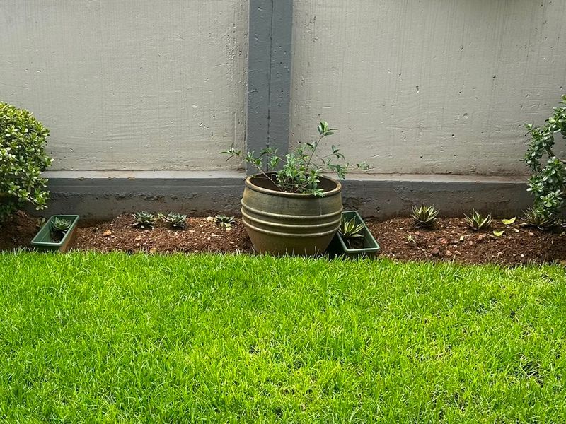 A small garden area featuring a well-maintained lawn and a concrete boundary wall.