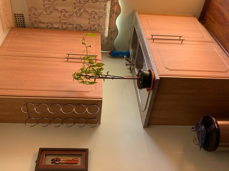 A kitchen area featuring wood-look laminate cabinetry, a stainless steel sink, and decorative ceiling cornicing, offering a functional layout for updates.