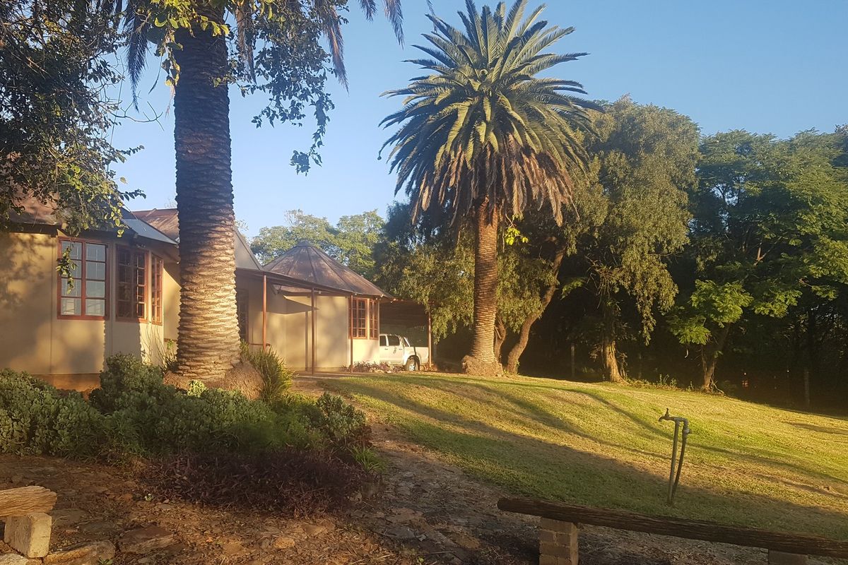 A spacious rear garden featuring mature palm trees, established landscaping, and a covered patio area attached to the main dwelling.