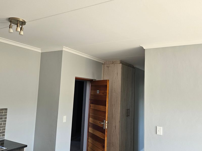 An open-plan living area featuring neutral grey walls, a built-in cupboard, and a tiled kitchen splashback with modern lighting.