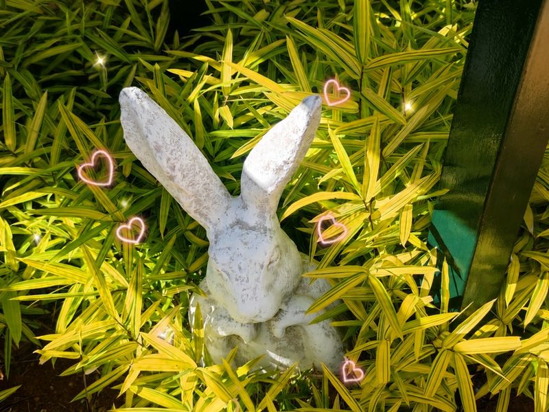 A close-up view of garden foliage and a decorative garden ornament.