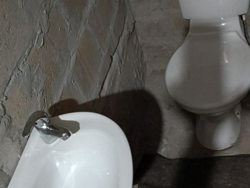 A basic bathroom featuring a toilet and washbasin with exposed brick walls, requiring finishing and renovation to improve functionality and aesthetics.