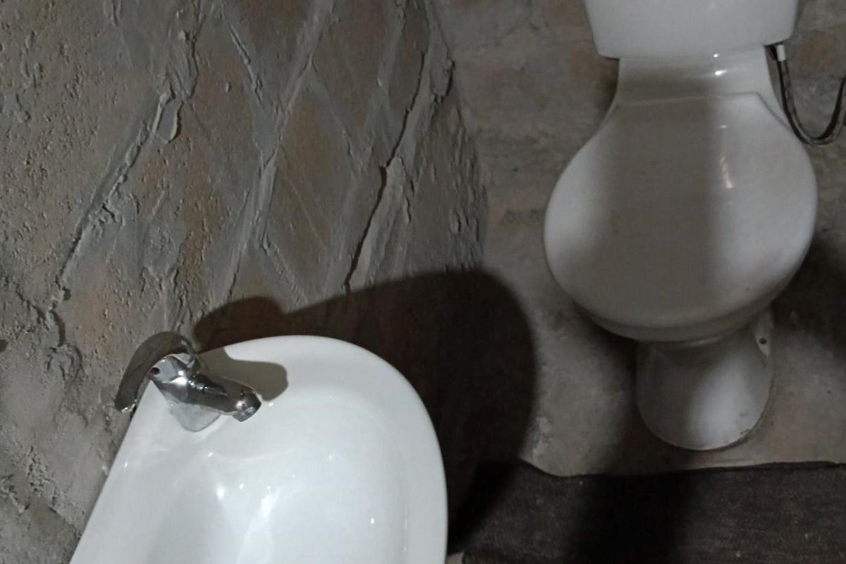 A basic bathroom featuring a toilet and washbasin with exposed brick walls, requiring finishing and renovation to improve functionality and aesthetics.