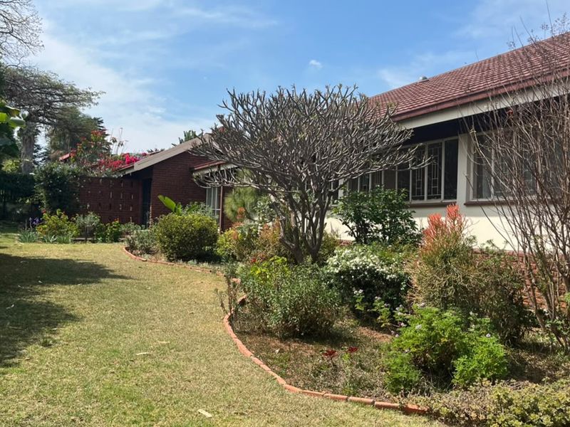A well-maintained rear garden featuring established landscaping, brick garden edging, and a classic brick facade with a tiled roof.