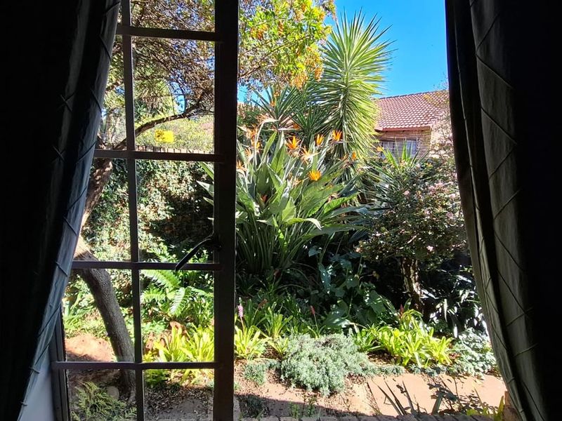 A view through a window looking out onto a lush, well-maintained garden with mature plants and trees.