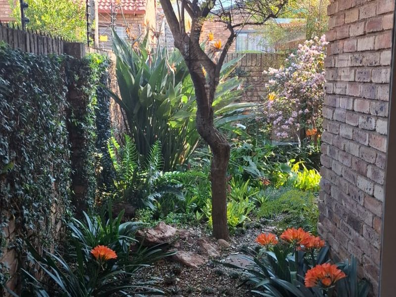 A lush, well-established garden area featuring mature plantings, a central tree, and brick boundary walls with security fencing.