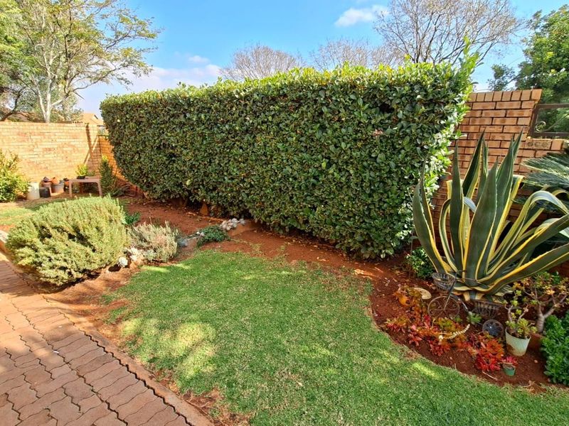 A well-maintained private garden area featuring a paved walkway, established hedge screening, and brick boundary walls.