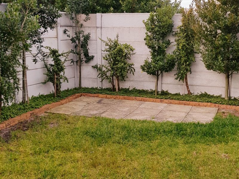 A compact rear garden featuring a small paved patio area, established trees, and a precast concrete boundary wall.