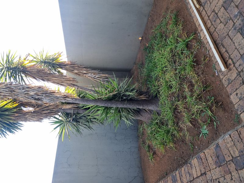 Secure 3-Bedroom And 1-Bathroom Duet In Aerorand! - Photo 5