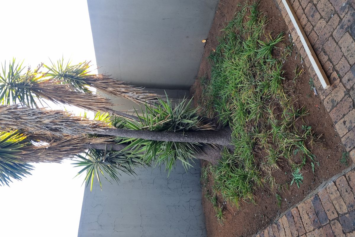 Secure 3-Bedroom And 1-Bathroom Duet In Aerorand! - Photo 5