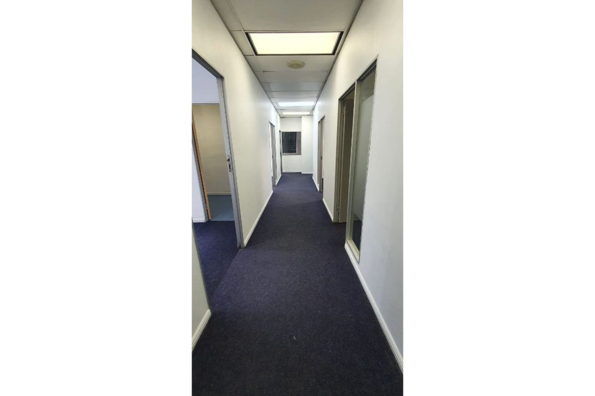 A long office hallway featuring a suspended ceiling with recessed lighting, blue carpet flooring, and multiple glass partition doors leading to adjacent office spaces.