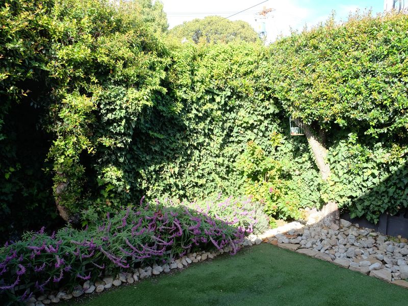 Charming Heritage Home In Wynberg Upper - Photo 5