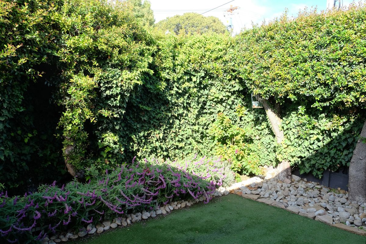 Charming Heritage Home In Wynberg Upper - Photo 5