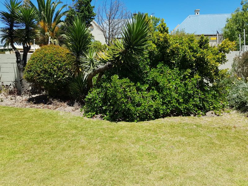 A well-maintained residential garden featuring a manicured lawn and established shrubbery, enclosed by a perimeter boundary wall.