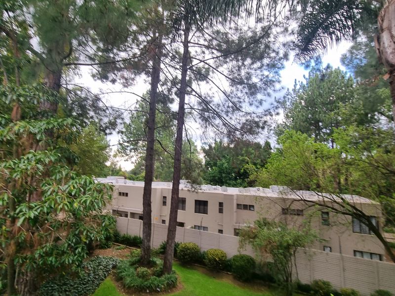 Libertas Road, Bryanston - Photo 8